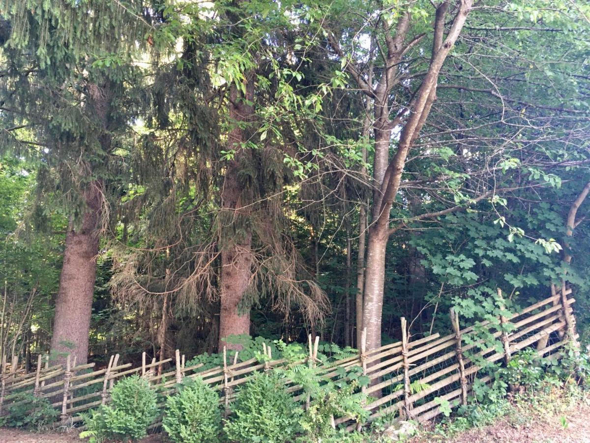 Preitenegg Naturforsthaus Gartenblick Fuer Hunde - Und Naturverbundene Menschen מראה חיצוני תמונה