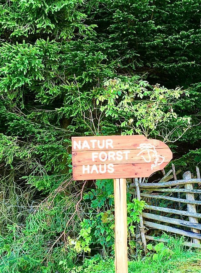 Preitenegg Naturforsthaus Gartenblick Fuer Hunde - Und Naturverbundene Menschen מראה חיצוני תמונה