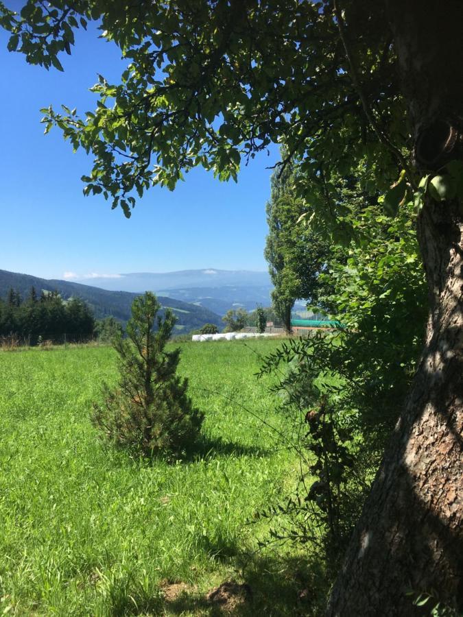 Preitenegg Naturforsthaus Gartenblick Fuer Hunde - Und Naturverbundene Menschen מראה חיצוני תמונה