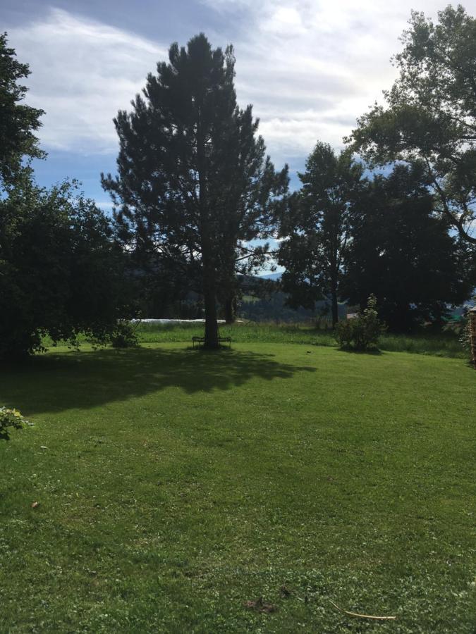 Preitenegg Naturforsthaus Gartenblick Fuer Hunde - Und Naturverbundene Menschen מראה חיצוני תמונה