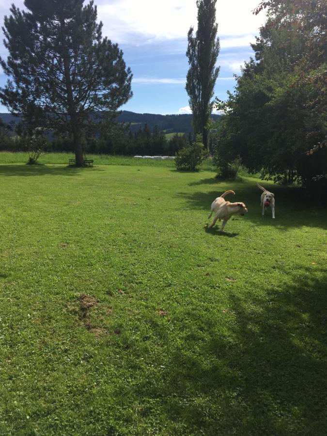 Preitenegg Naturforsthaus Gartenblick Fuer Hunde - Und Naturverbundene Menschen מראה חיצוני תמונה