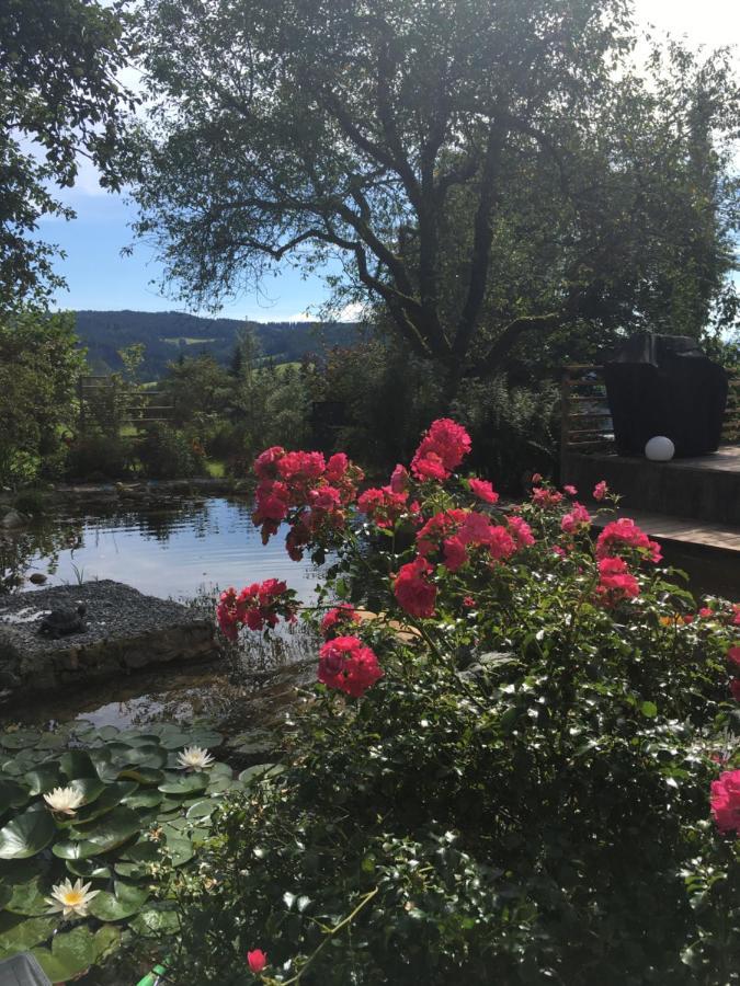 Preitenegg Naturforsthaus Gartenblick Fuer Hunde - Und Naturverbundene Menschen מראה חיצוני תמונה